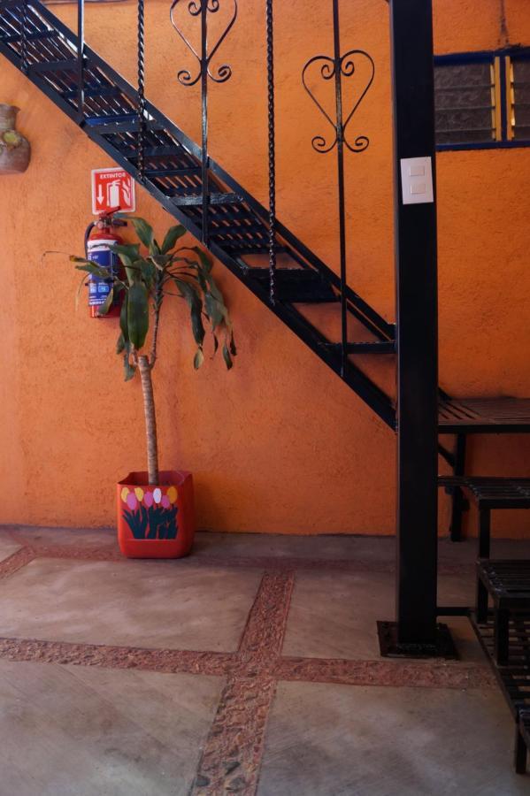Casa Xochimilco Apartment Oaxaca ภายนอก รูปภาพ